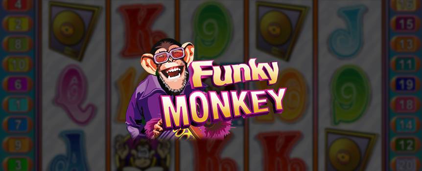 Transport yourself to the swinging 60s, where if you’d seen a group of chimps playing musical instruments, you’d probably just think it was a flashback. With Funky Monkey though, these cheeky chimps are for real. This psychedelic slot features Funky Monkey and his crew performing in a band, as well as some great combinations that could be music to your ears.